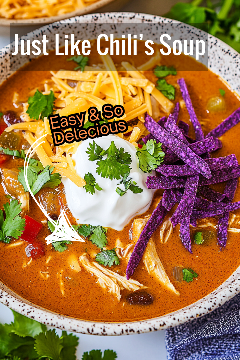 Your search for the perfect enchilada soup is over! This recipe brings all the delicious flavors of Chili’s to your kitchen.