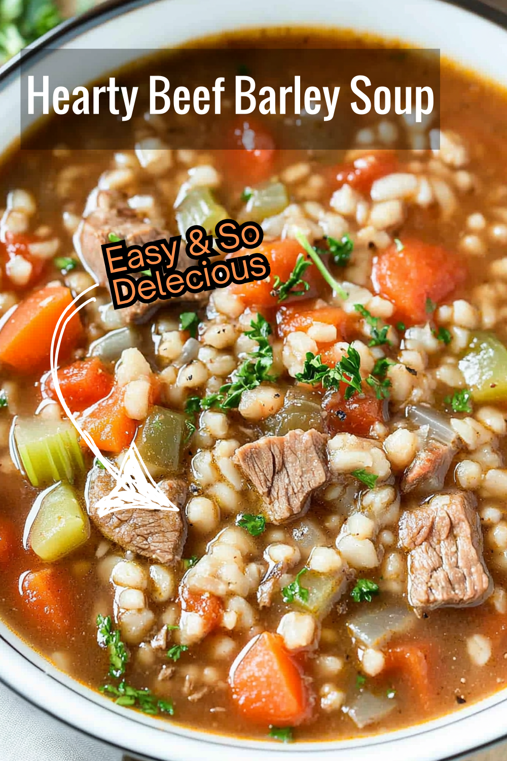 Cozy up with a bowl of this filling soup, featuring a delicious blend of beef, barley, and savory seasonings.