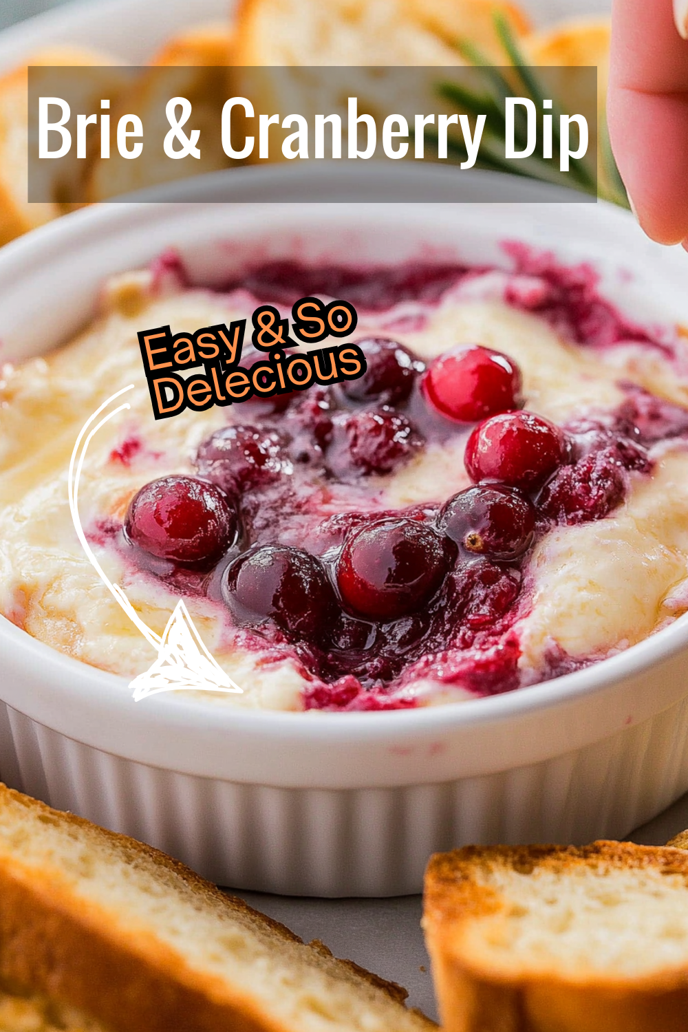 This Cranberry Brie Dip is the perfect combination of tangy cranberries and creamy Brie – an easy, delicious appetizer for any holiday spread.