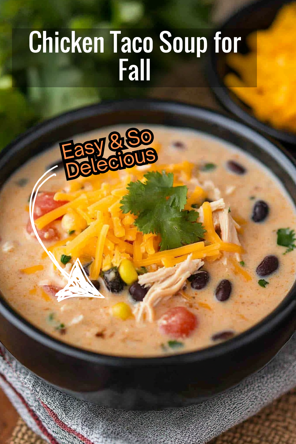 Cozy fall evenings call for this heartwarming chicken taco soup—rich, creamy, and loaded with toppings.