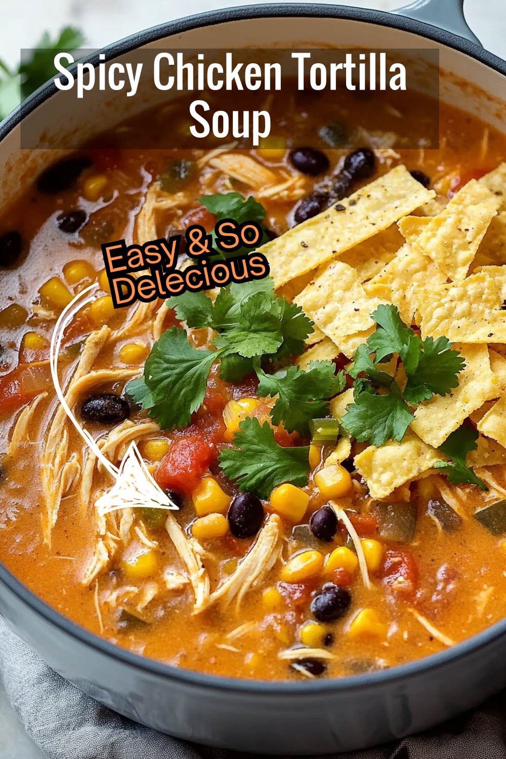 Add some heat to your dinner with this spicy Chicken Tortilla Soup! Jalapeños and green chilies give this dish just the right kick.